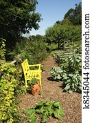 Vegetable Garden Vegetable Garden
