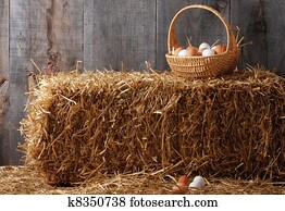 Basket of eggs on hay bale Basket of eggs on hay bale