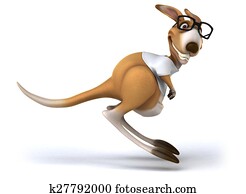 Fun kangaroo Fun kangaroo