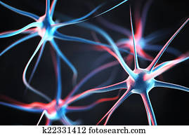 Neurons in the brain Neurons in the brain