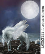 pegasus pegasus