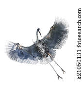 Watercolor Image Of Great Blue Heron Watercolor Image Of Great Blue Heron