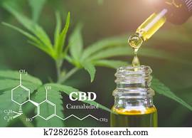 CBD elements in Cannabis, Hemp oil, medical marijuana, cannabinoids and health. CBD elements in Cannabis, Hemp oil, medical marijuana, cannabinoids and health.