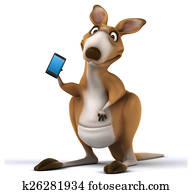 Fun kangaroo Fun kangaroo