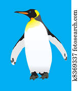 King Penguin