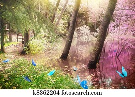 Magic forest Magic forest