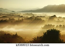 sunshine on the morning mist 