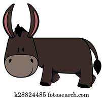 bebê, burro bebê, burro