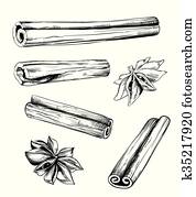 Cinnamon and anise vector isolated on white