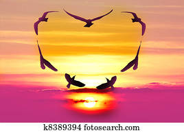 Valentine bird Valentine bird