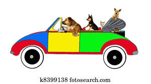 Dogs and cats driving in a car Dogs and cats driving in a car