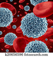 לבן, תאים של דם