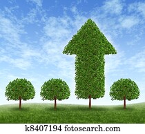 Best Investment Choice