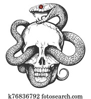 גולגולת, עם, נחש, קיעקוע