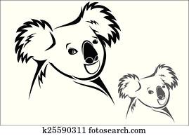 קואלה יולדת