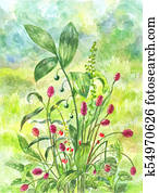 Beautiful green field with bush of healing herbs. Watercolor illustration of burnet Beautiful green field with bush of healing herbs. Watercolor illustration of burnet