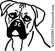 boxer hund, kopf boxer hund, kopf