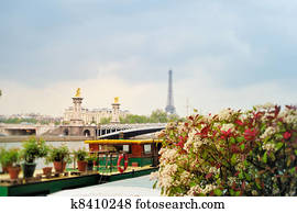 Parisian view Parisian view