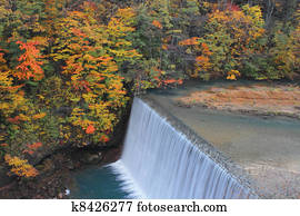  colorful  leaves in Gully  Matsukawa
