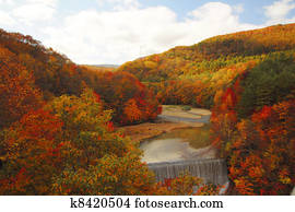  colorful  leaves in Gully  Matsukawa