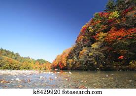  colorful  leaves in Gully  Matsukawa