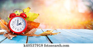 Fall Back Time - Daylight Savings