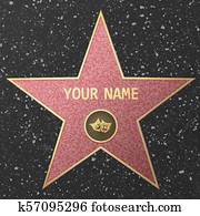 Hollywood Fame star Hollywood Fame star
