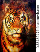 tiger collage on color abstract background, rust structure, wildlife animals, computer collage. tiger collage on color abstract background, rust structure, wildlife animals, computer collage.