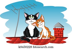 Cats on the roof Cats on the roof