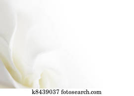 soft white flower background