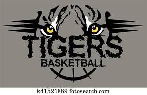 נמרים, כדור סל