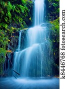 Beautiful Lush Waterfall