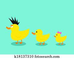 Ducks family