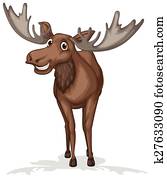 Moose Moose
