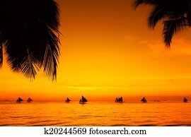 Sailboats at sunset on a tropical sea. Palms on the beach. Silhouette photo.