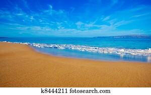 Tropical Beach in Hawaii Tropical Beach in Hawaii