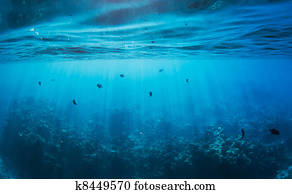 Underwater Underwater