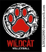 wildcat, voleibol