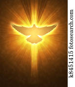 brilhar, pomba, com, raios, ligado, um, escuro