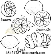 Lemon citrus vector set Lemon citrus vector set
