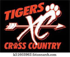 tiger, überqueren land tiger, überqueren land