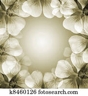 flower frame with copy space flower frame with copy space