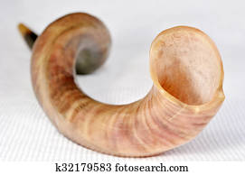 foco seletivo, de, shofar, (horn)
