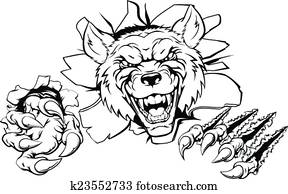 זאב, קמיע, לנפץ, out