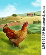 Hen and farm Hen and farm