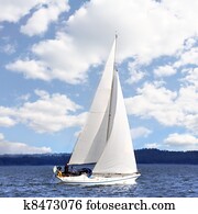 Sailing boat in the wind Sailing boat in the wind