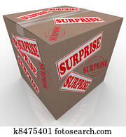 Surprise Box Shipped Cardboard Package Surprise Box Shipped Cardboard Package