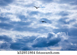 wolken, in, de, blauwe hemel
