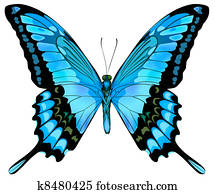Beautiful vector isolated blue butterfly Beautiful vector isolated blue butterfly