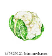 Cauliflower Cauliflower